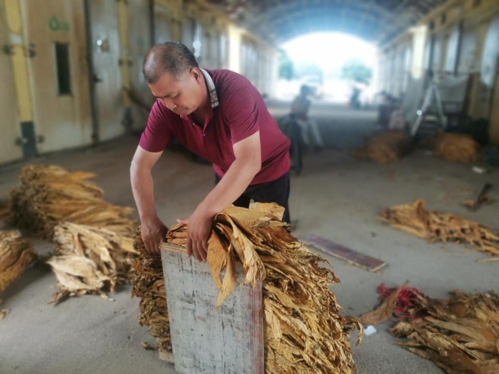 永州宁远以电代煤电烤烟房助力烟农增收