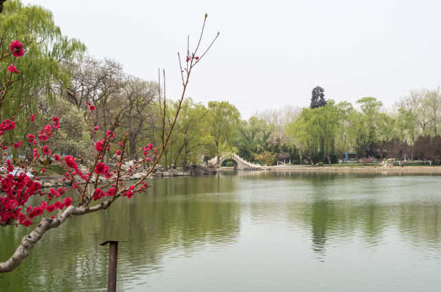 北京龙潭湖公园,风光优美,景色迷人