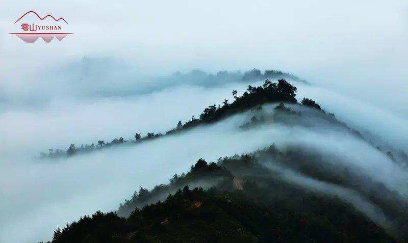 遇见乐安雩山