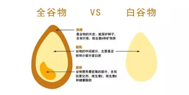 一致推崇的明星食品,全面解析"全谷物"的价值!