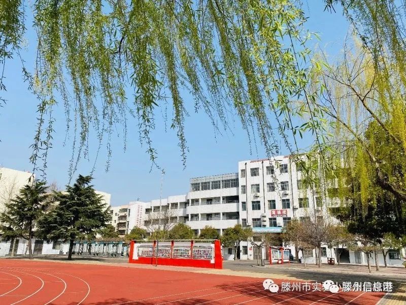 滕州市实验小学几所校区是啥关系看完你就晓得附各校招生范围参考