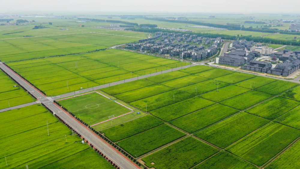 夏粮少收购近千万吨，粮食安全还安全吗？