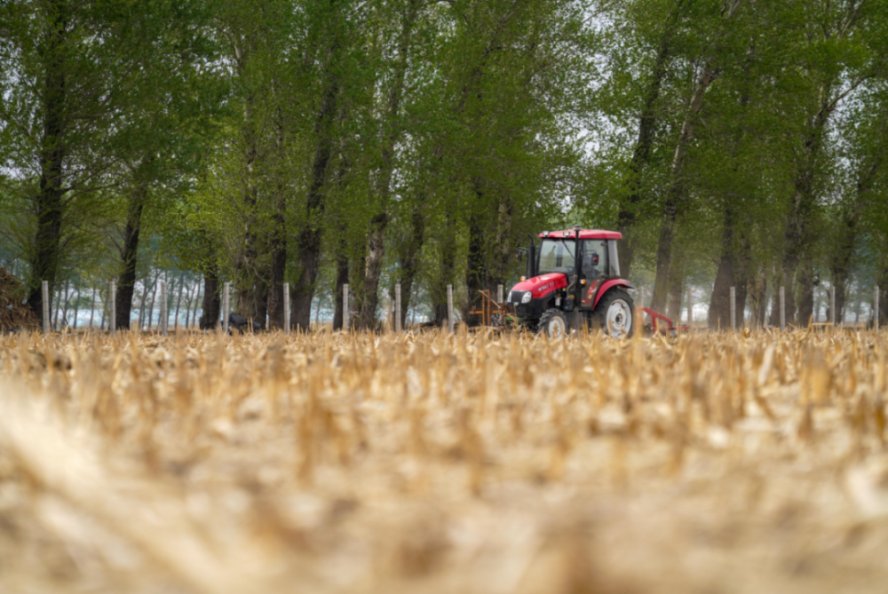 夏粮少收购近千万吨，粮食安全还安全吗？