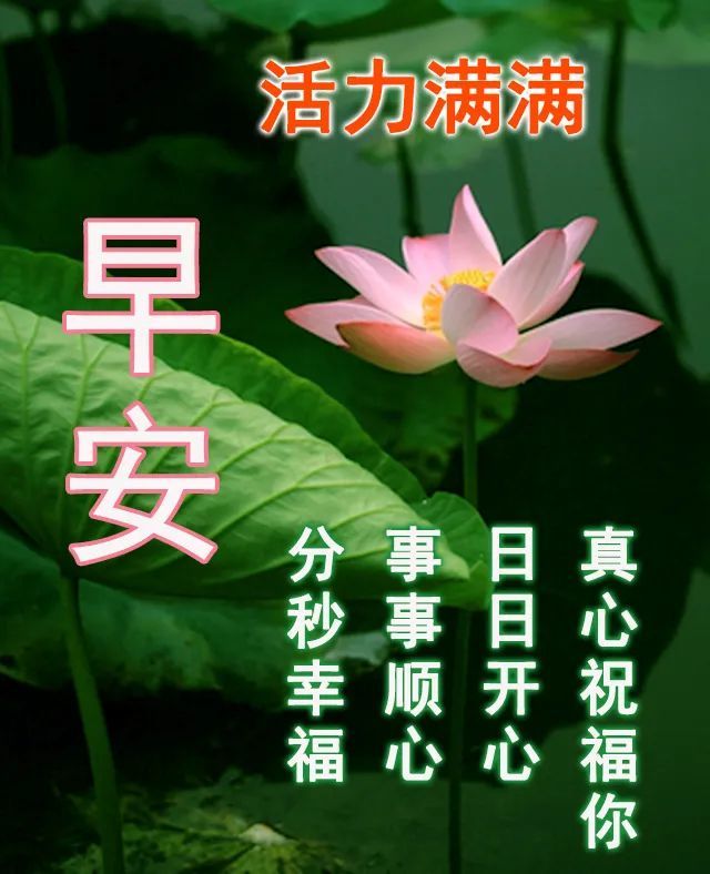 8月15日清晨群发早上好问候祝福语动态图片 早晨好问候动态图片表情带