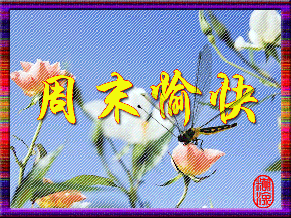 云淡风轻,随意放飞美丽心情!诗情画意,爱心在阳光下沐浴!