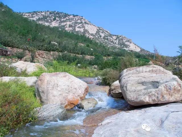 临朐九山中山村