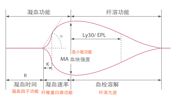 血栓弹力图，“弹”的是什么？