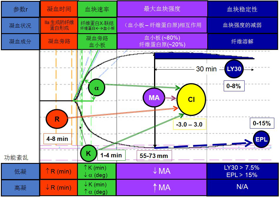 血栓弹力图，“弹”的是什么？