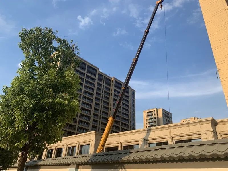义府名苑中区北区安置房回迁项目招标分房这就安排上了