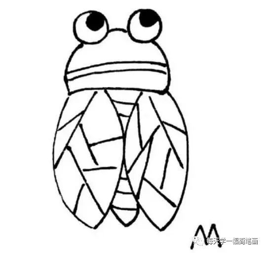 每天学一幅简笔画-夏天的知了简笔画教程