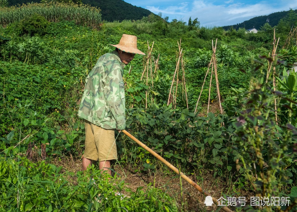 36岁男子患重病“死”两次，强撑到儿子出世才瞑目，穷苦大哥含泪收养侄儿