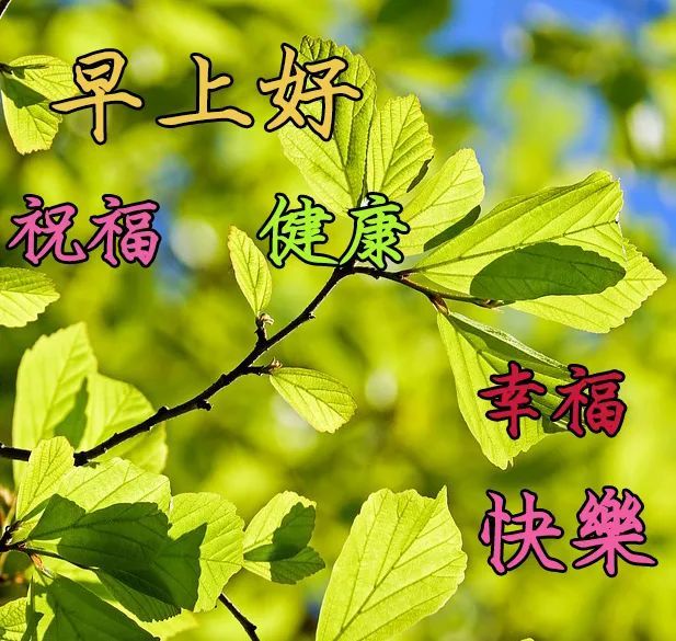 早上好祝福语大全,大家早上好!|无限|未知|憧憬|风景