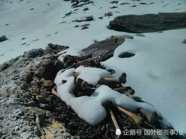 湖中浮出800具人类尸骨,死因离奇