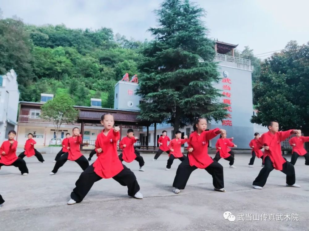 从武德修养探析当代中小学生武术教育的价值!