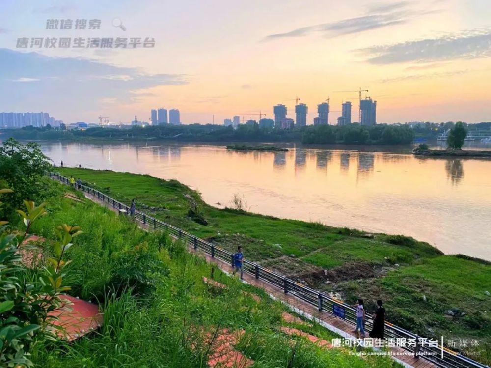 襄阳市唐白河航运开发工程初步设计顺利通过专家咨询会