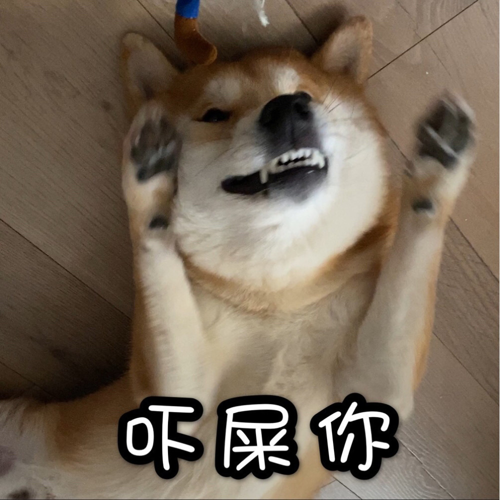 今日份柴犬表情包