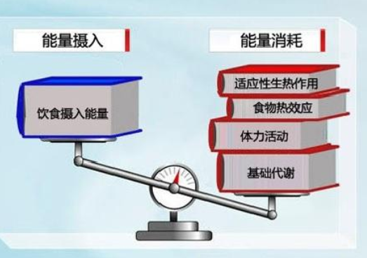 大胃王暴吃不胖靠催吐？医生：此举收效甚微，还有风险