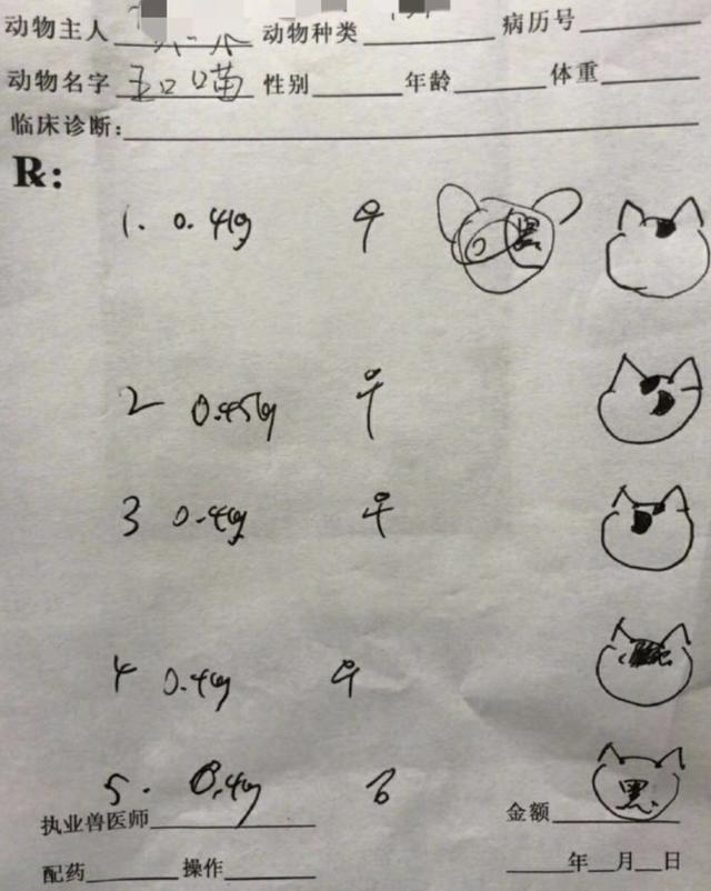 网友带着一窝小猫去看病结果医生开的处方单