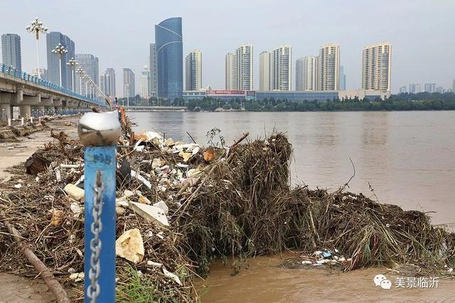 湖心岛上的淤泥路上到处都是树墩被拦截下来的垃圾洪水过后的沂河老桥