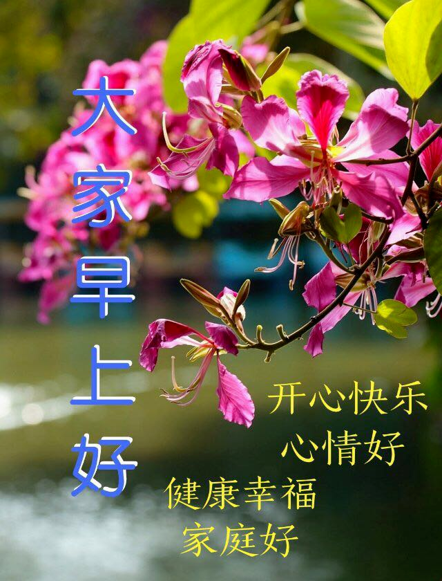 3月11日周四早安问候语祝大家天天都有好心情
