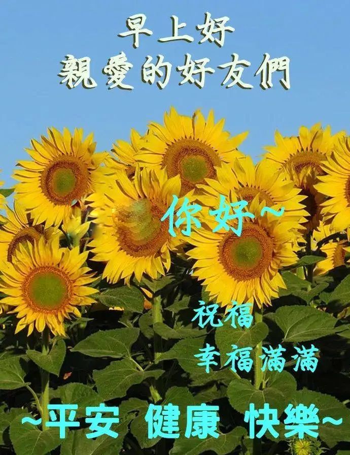 老年人早安问候图片大全祝朋友早安健康吉祥的图片早上好问候句子健康