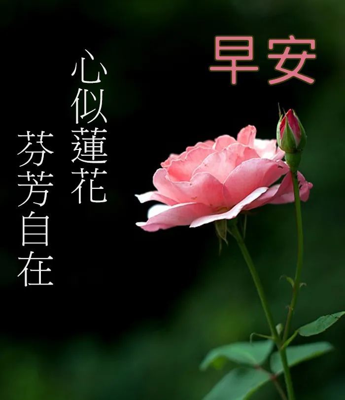 早上好祝福语温馨句子早上好图片大全带字