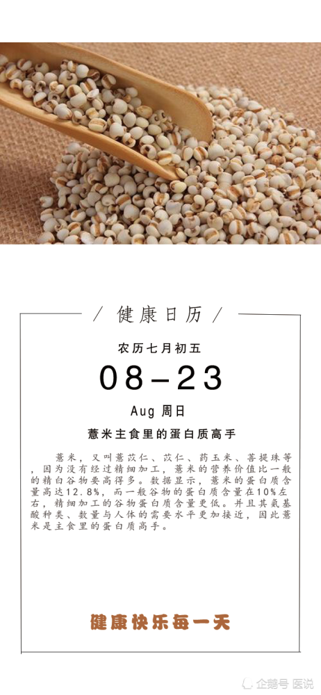 薏米主食里的蛋白质高手