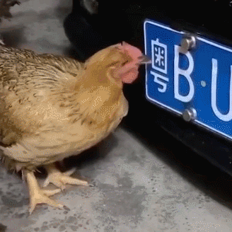 641