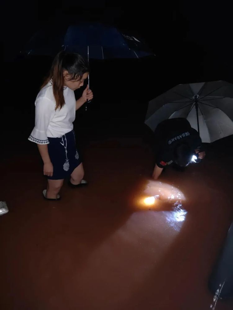 天府新区,彻夜未眠!