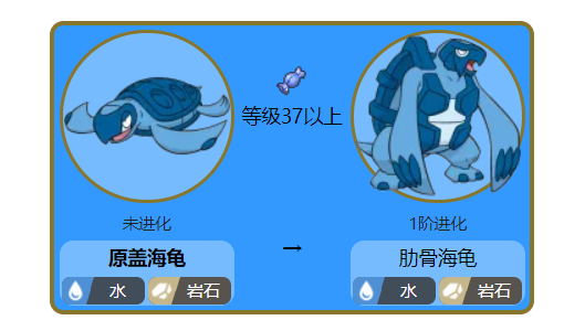 以现实世界的动物为原型的宝可梦这六种宝可梦的灵感都来自乌龟