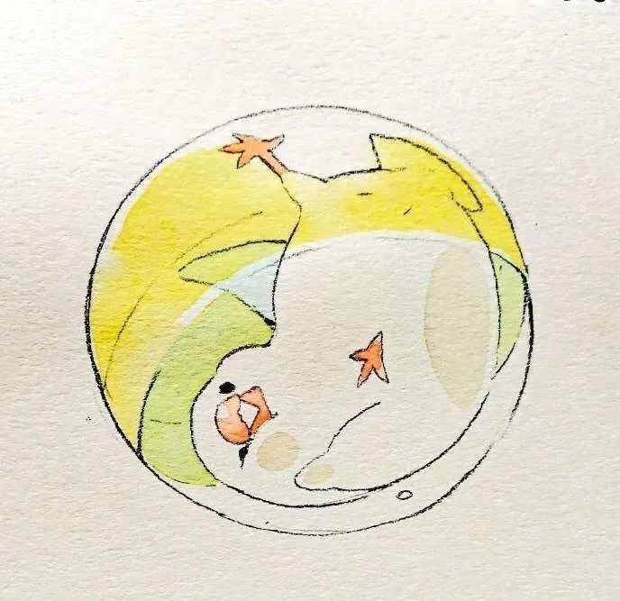 治愈系小插画 可爱的小白鸽