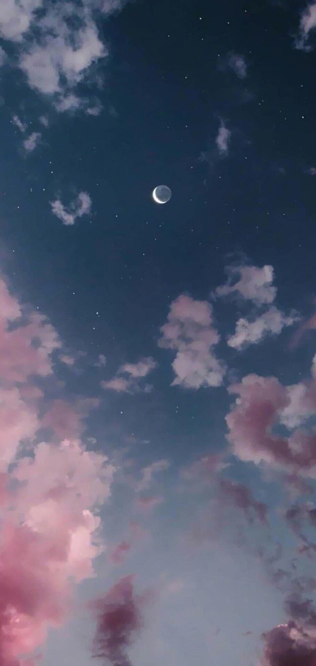 全网最火的壁纸