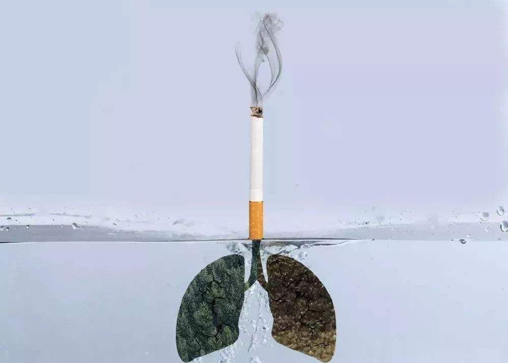 每天抽几支烟对您的肺部有害,就像抽两包烟一样.