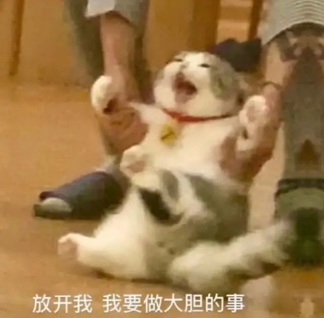 表情包:被生活压倒