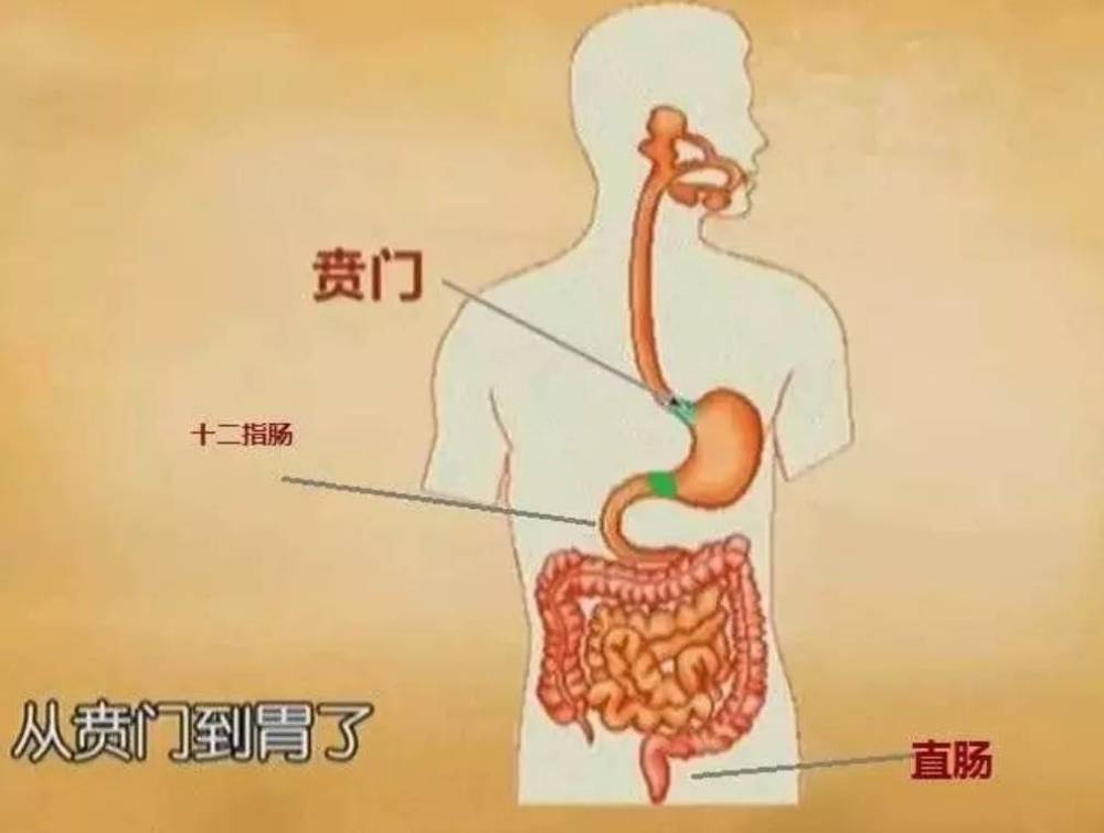 央视痛批"大胃王"!今天,带你揭秘那些吃不胖的秘密