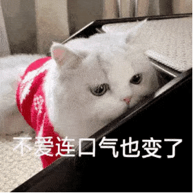 表情包:不爱连口气也变了