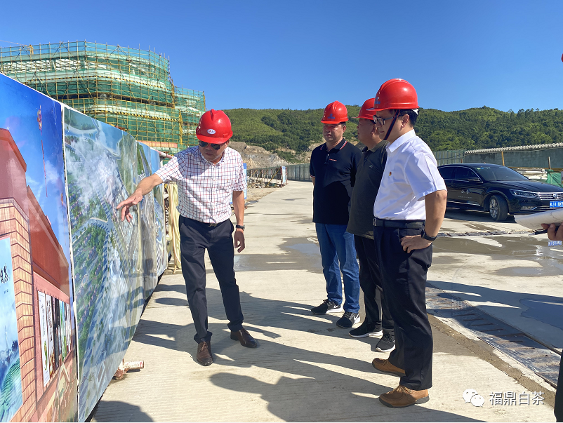 福鼎市委副书记周春海视察指导中国白茶中心建设