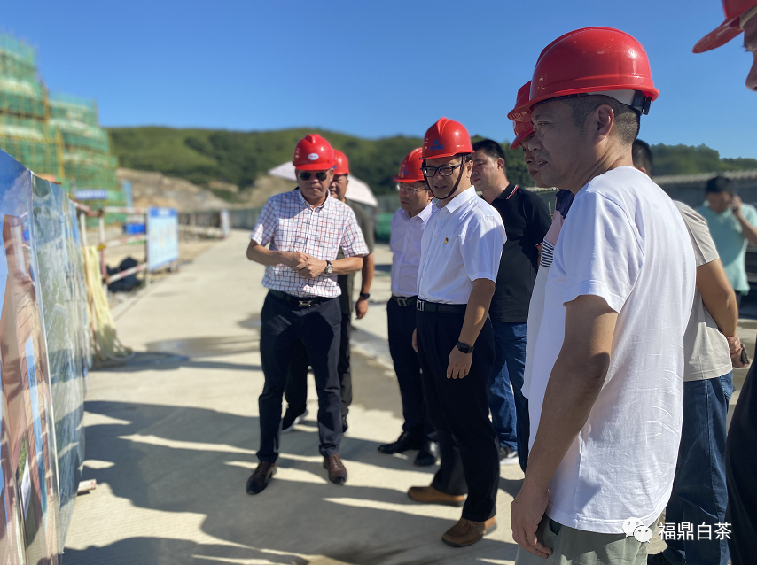 福鼎市委副书记周春海视察指导中国白茶中心建设