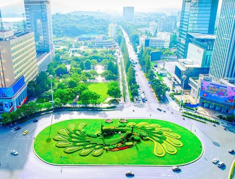 绿化城市排名_城市绿化(3)