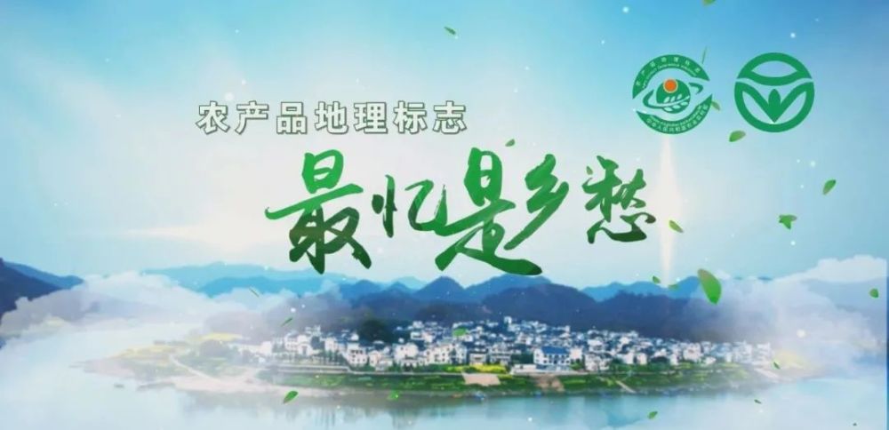 浙江人味蕾思念,地理标志农产品,最忆是乡愁