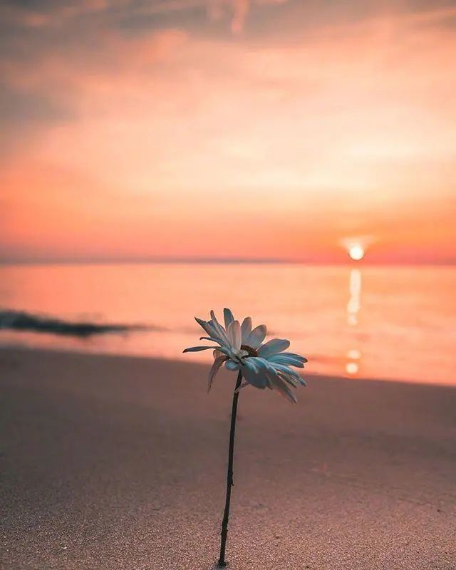 让人狂赞的人生感悟文案