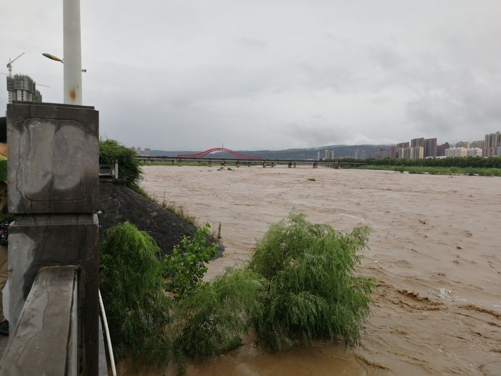 宝鸡汛期的渭河,水大到罕见,波涛汹涌堪比黄河