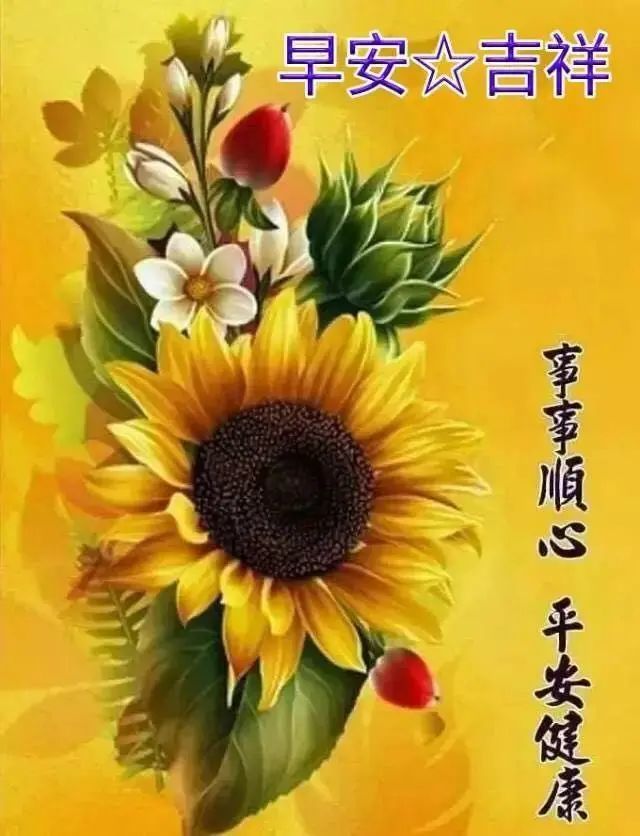 周三朋友圈清晨温馨问候图片,最美早上好祝福动图说说