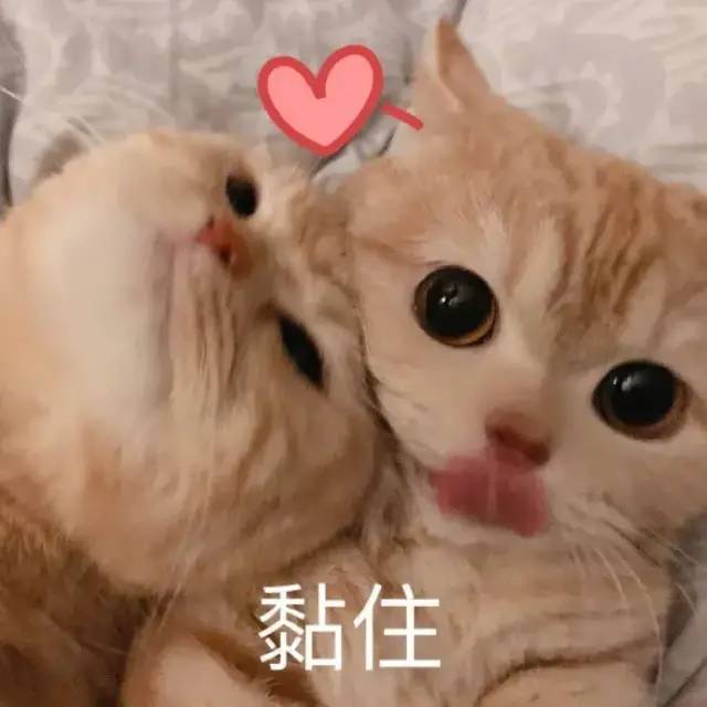 表情包:眼睛瞪得像铜铃