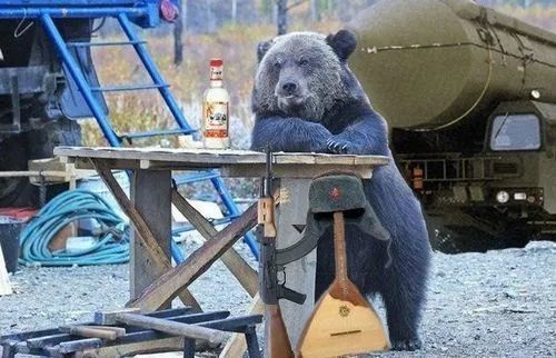 俄罗斯毛熊对碎碎叨叨的西方,到底有多大军事"威胁"