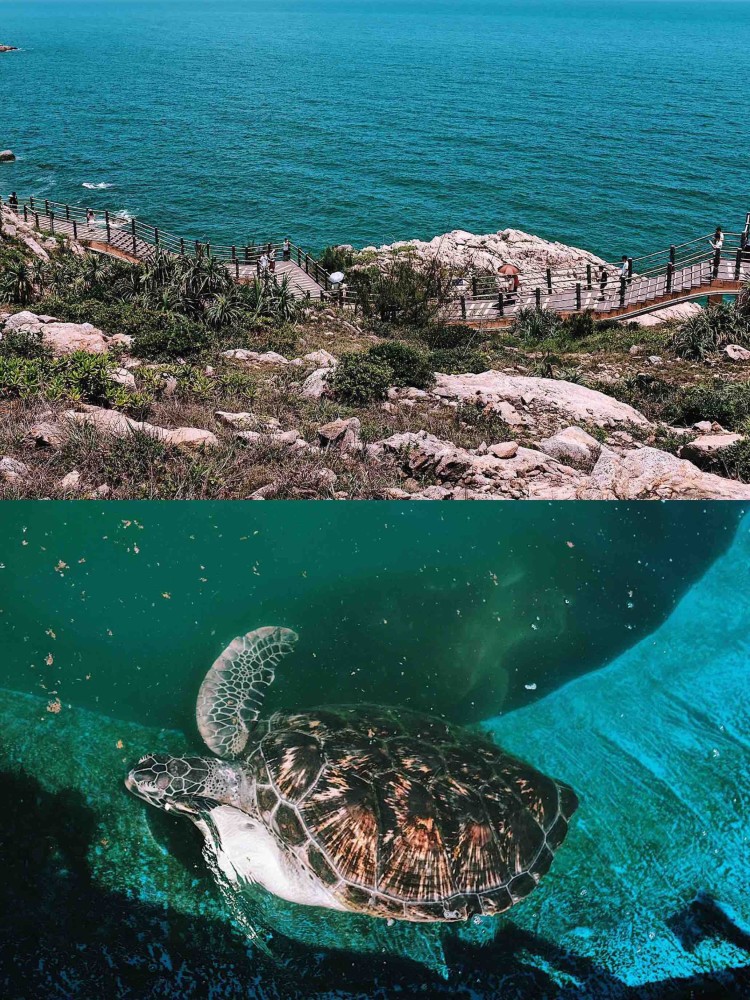 惠州海龟湾自驾游,蓝天碧海小垦丁你来这人间一趟,要和心爱的人_腾讯