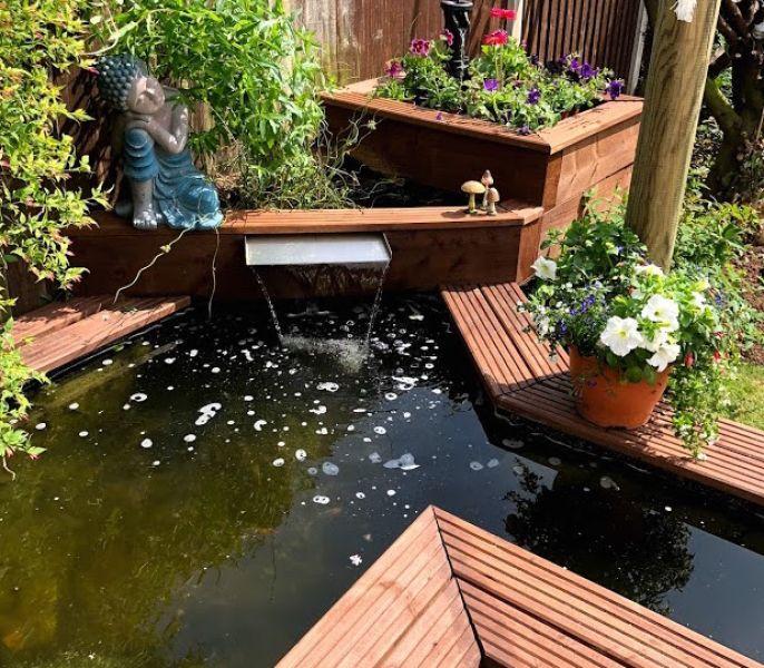 院子做水景常见,用木板做框架围一圈鱼池,不抹水泥还是第一次见