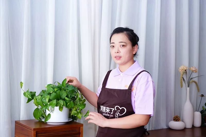 不管是月嫂还是育婴师这些入户大忌千万别犯