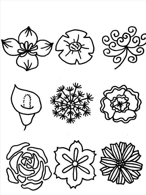 多种花型画法,花朵简笔画