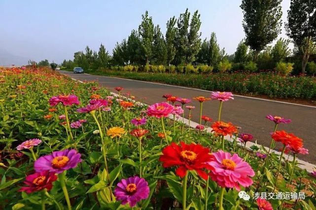 旅游大道全长约175公里,起于涉县朝阳沟隧道,止于台田线磁县马鞍峡